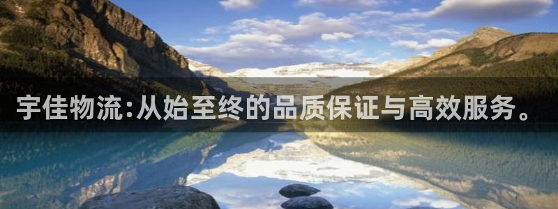 狗子28充值不到账怎么办：宇佳物流: