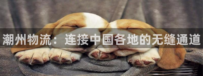 狗子28官网网站：潮州物流：连接中国