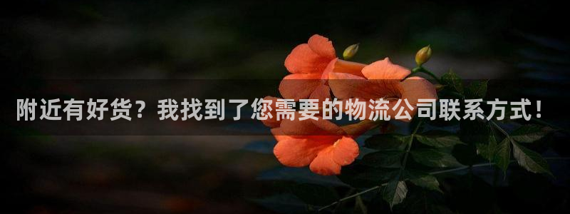 狗子28退款：附近有好货？我找到了您需要的物流公司联系方式！