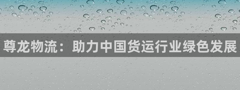 狗子28官网注册：尊龙物流：助力中国