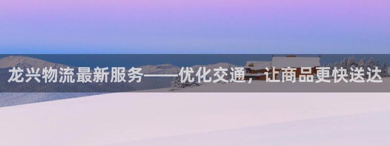 狗子28登录网：龙兴物流最新服务——