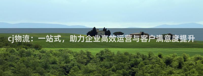 狗子28注册与教程：cj物流：一站式，助力企业高效运营与客户