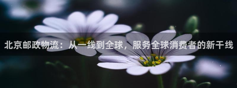 狗子28是啥：北京邮政物流：从一线到