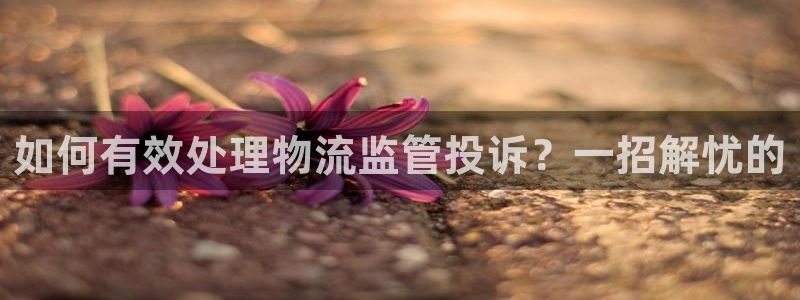 狗子28辅助：如何有效处理物流监管投