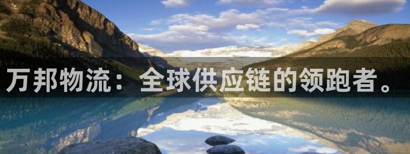 狗子28口：万邦物流：全球供应链的领