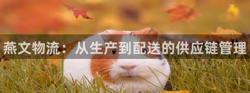 狗子28反水：燕文物流：从生产到配送