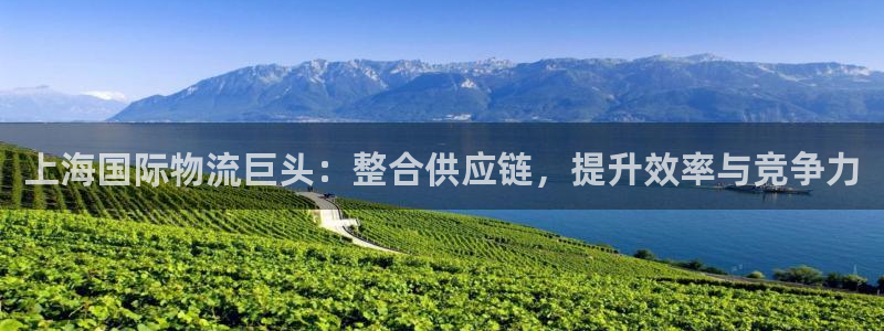 狗子28加拿大开奖：上海国际物流巨头