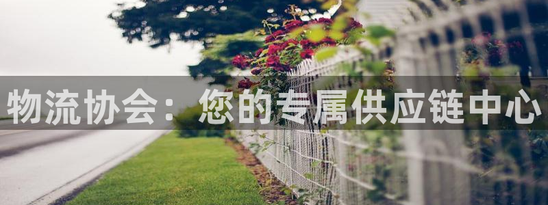 南宫狗子28怎么注册：物流协会：您的