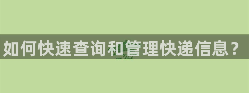狗子28官网入口pc正版：如何快速查