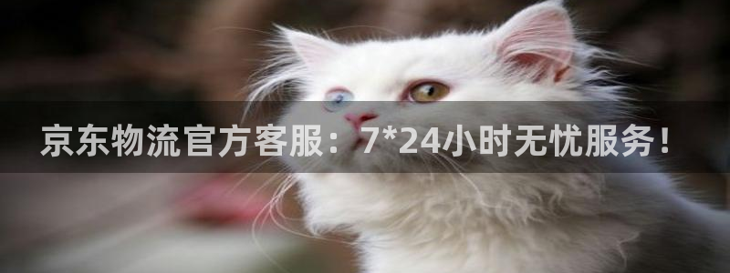 狗子28注册网址百度知道：京东物流官