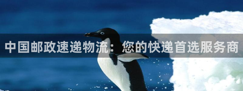 狗子28加拿大6.0：中国邮政速递物