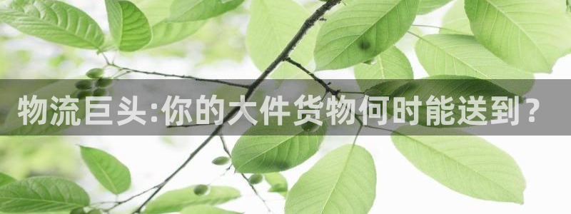 狗子28软件是什么：物流巨头:你的大