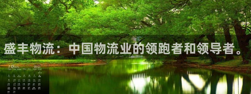 狗子28官网平台下载：盛丰物流：中国
