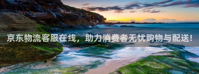 狗子28赌博被抓：京东物流客服在线，