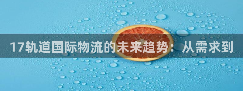 狗子28官网平台：17轨道国际物流的