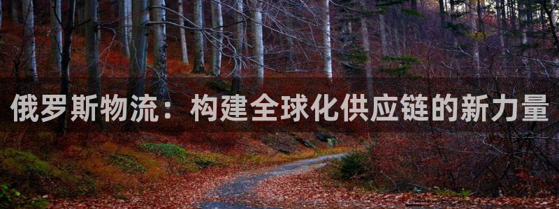 加拿大狗子28是什么：俄罗斯物流：构