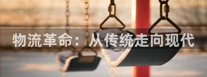 狗子28游戏：物流革命：从传统走向现