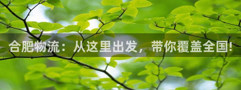 狗子28注册号：合肥物流：从这里出发
