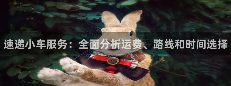 狗子28加拿大预测：速递小车服务：全
