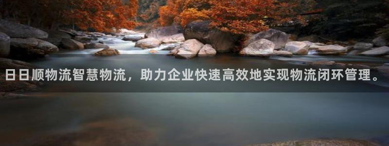 狗子28pc预测：日日顺物流智慧物流，助力企业快速高效地实现