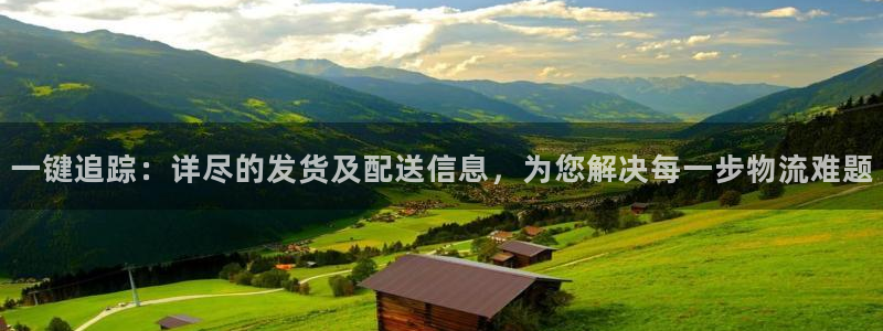 狗子28充值不到账怎么回事:一键追踪