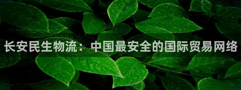 狗子28注册上限是啥意思：长安民生物