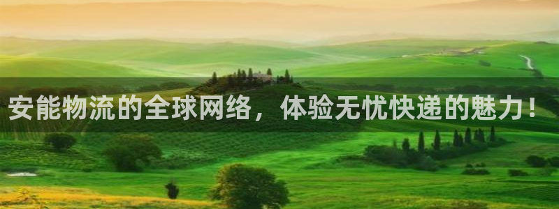 狗子28返水怎么算的:安能物流的全球