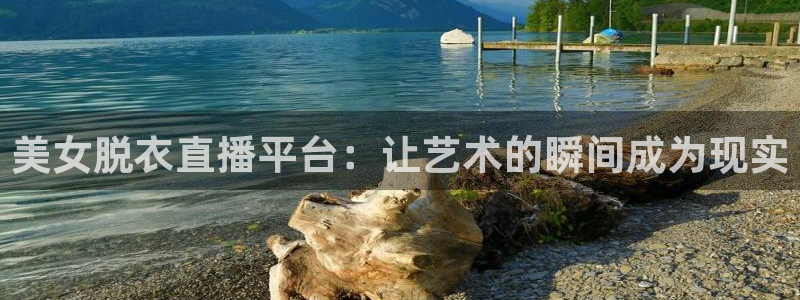 鲸鱼体育头狼直播间：美女脱衣直播平台：让艺术的瞬间成为现实