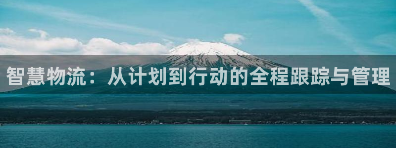 狗子28南宫娱乐官网：智慧物流：从计