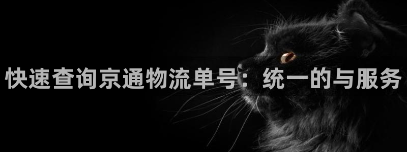 狗子28为什么打不开：快速查询京通物