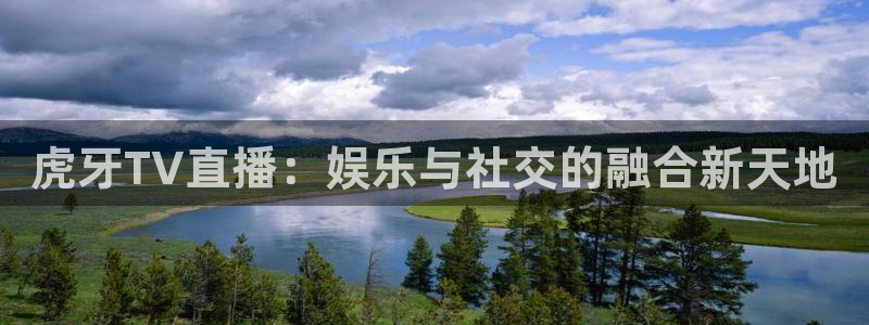 鲸鱼看球直播：虎牙TV直播：娱乐与社交的融合新天地