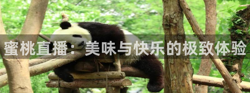 鲸鱼直播(体育直播)：蜜桃直播：美味与快乐的极致体验