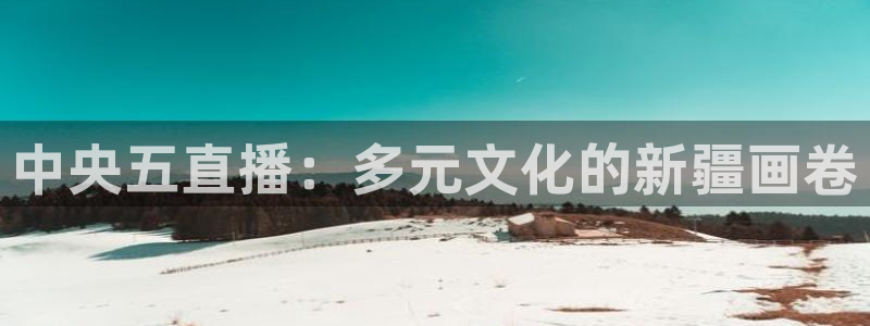 鲸鱼直播足球：中央五直播：多元文化的新疆画卷