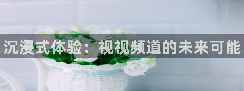 鲸鱼体育.：沉浸式体验：视视频道的未来可能