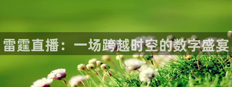 鲸鱼体育直播：雷霆直播：一场跨越时空的数字盛宴