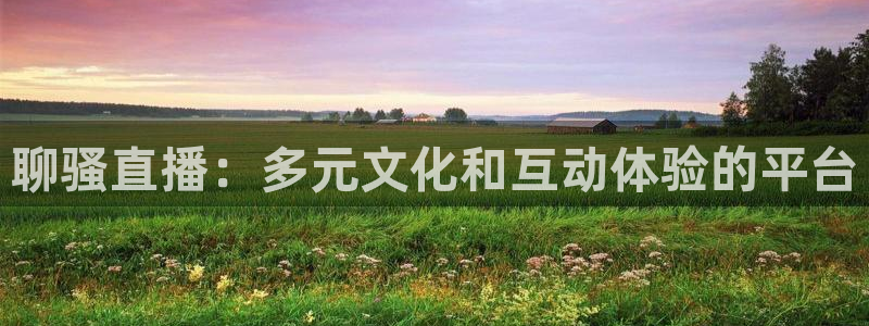 鲸鱼tv直播：聊骚直播：多元文化和互动体验的平台