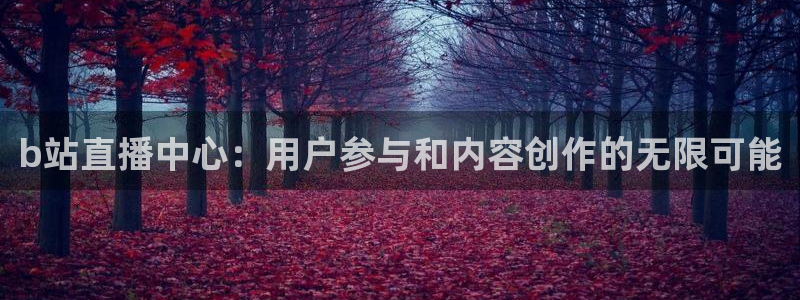 鲸鱼直播：b站直播中心：用户参与和内容创作的无限可能