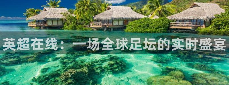 鲸鱼体育直播app官网下载：英超在线：一场全球足坛的实时盛宴