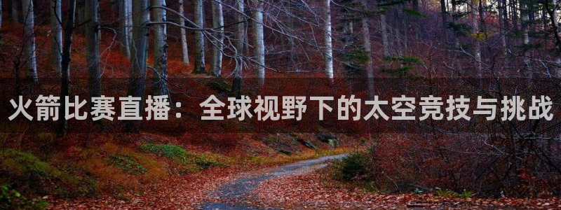蓝鲸鱼直播：火箭比赛直播：全球视野下的太空竞技与挑战